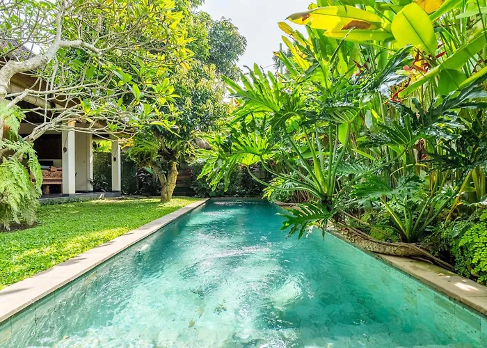 Mangga * Ubud (Bali)